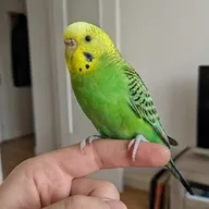 Photo de profil de Mehdi W.